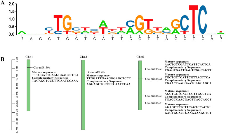 Figure 1