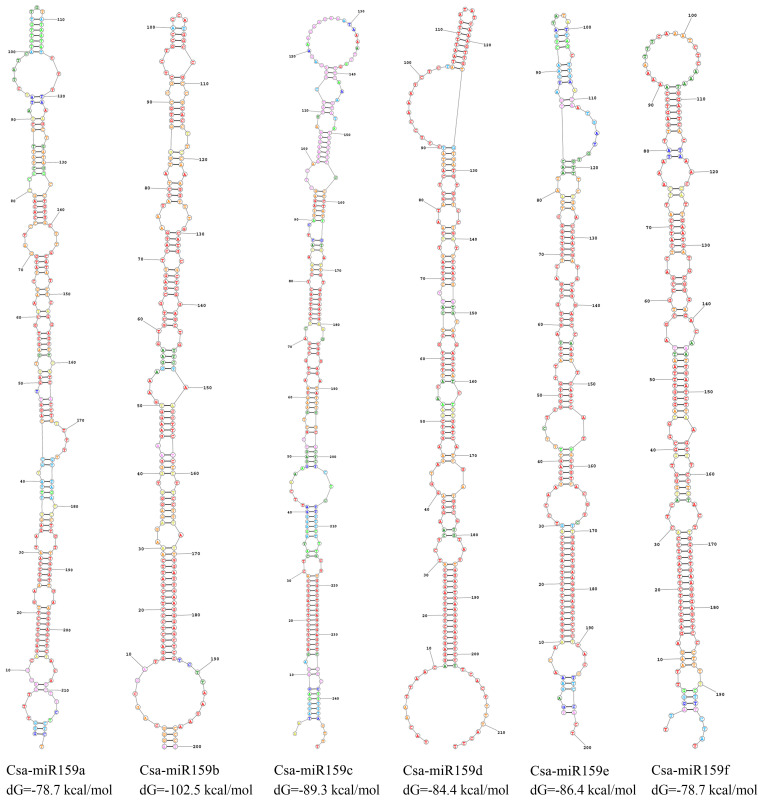Figure 2