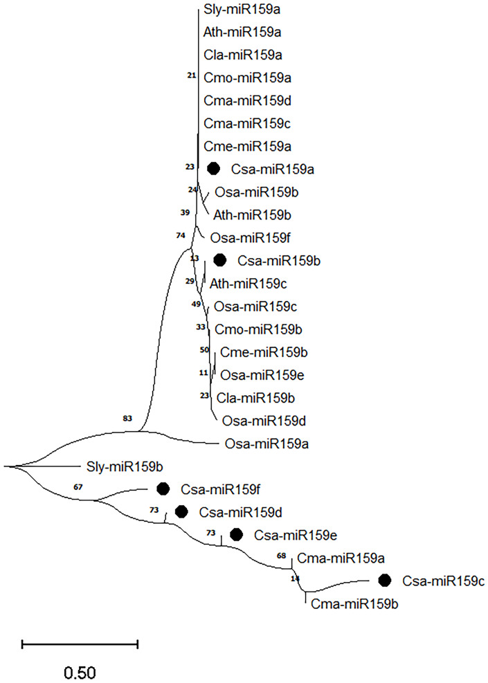 Figure 3