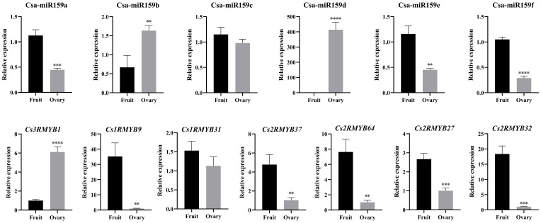 Figure 5