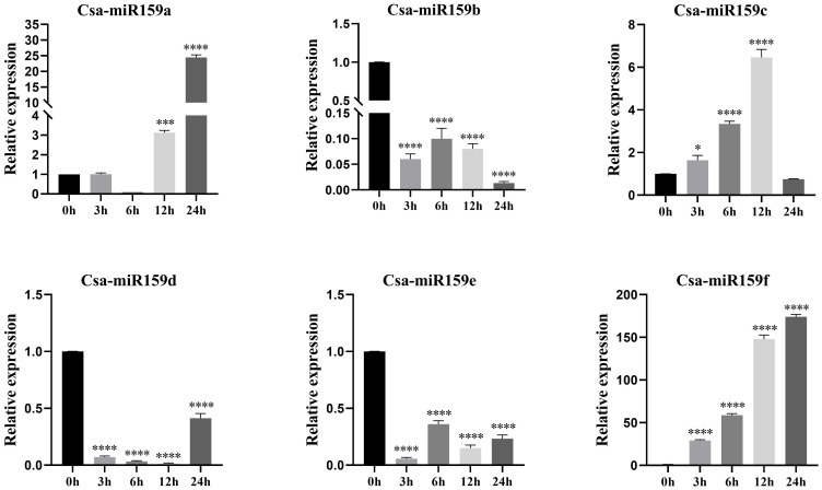 Figure 6
