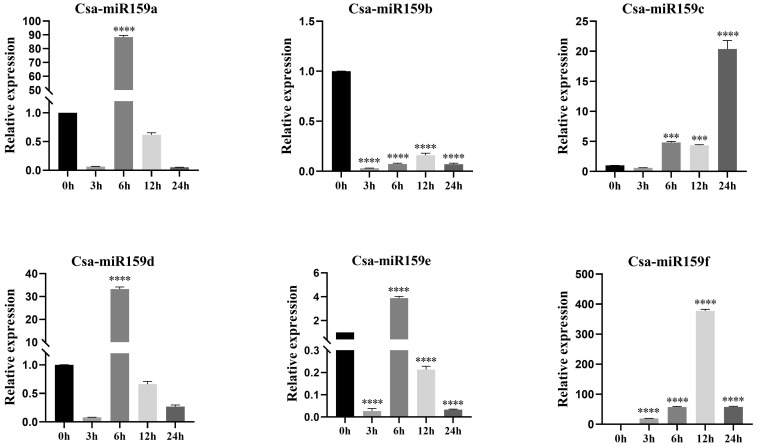 Figure 7