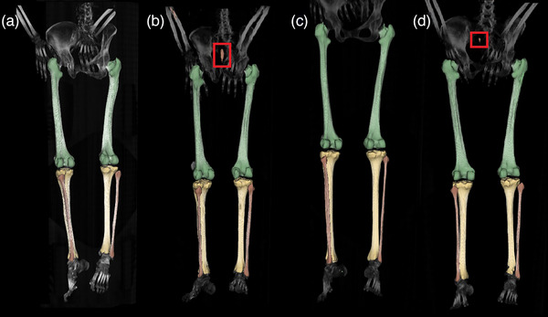 FIGURE 2