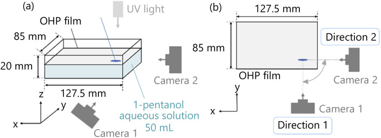 Fig. 10