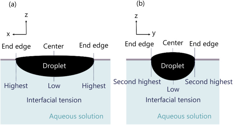 Fig. 13