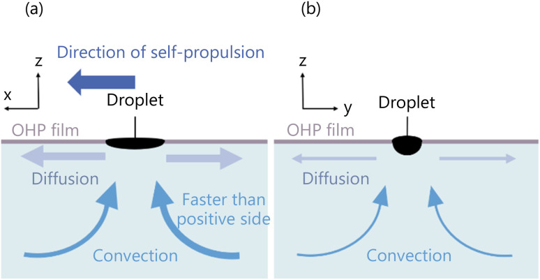 Fig. 14