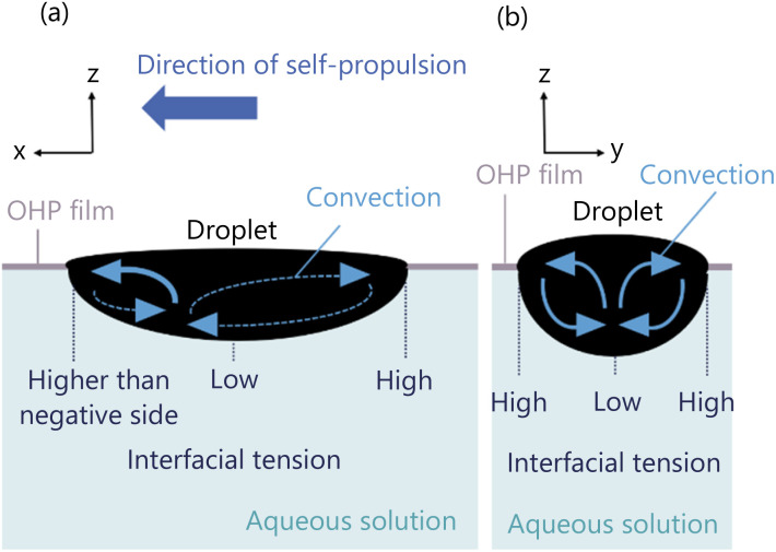 Fig. 17