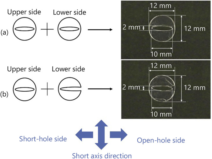 Fig. 6