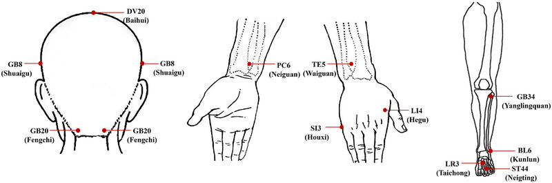 FIGURE 1