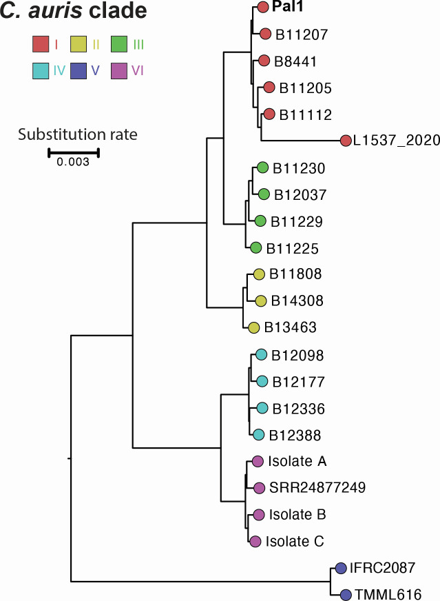 Fig 1