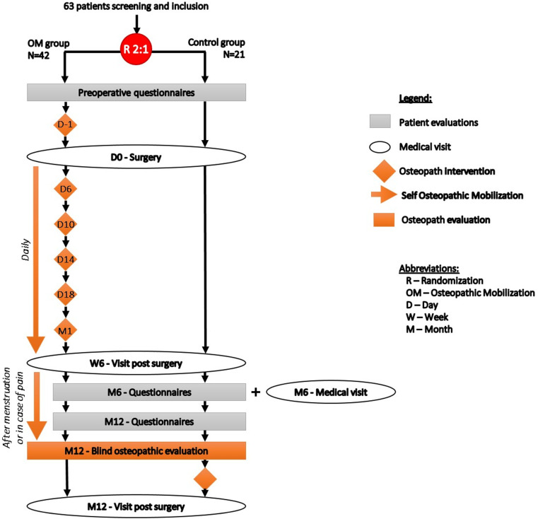 Fig 2
