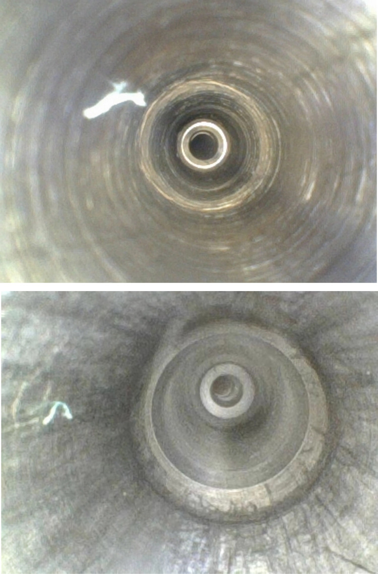 Fig 6