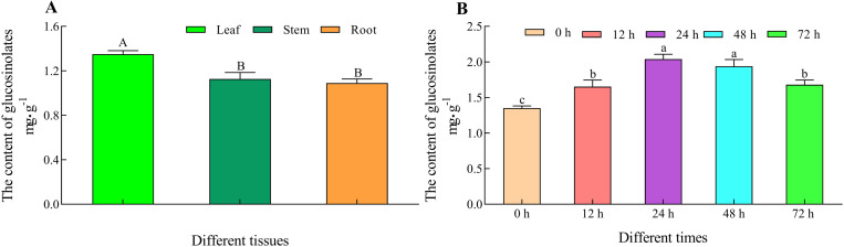 Fig 11