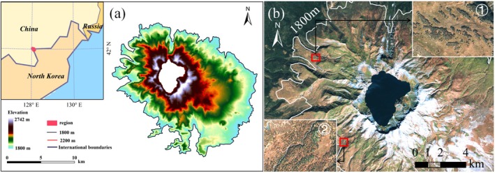 FIGURE 1
