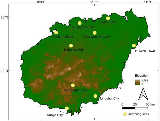 FIGURE 1