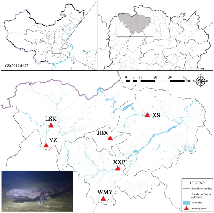 FIGURE 1