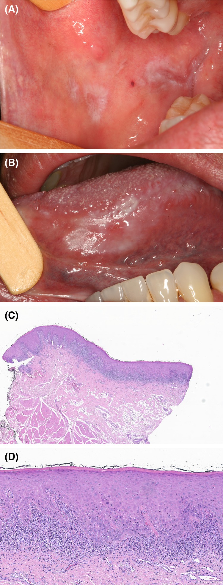 FIGURE 1