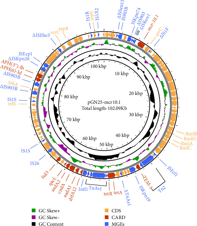 Figure 2