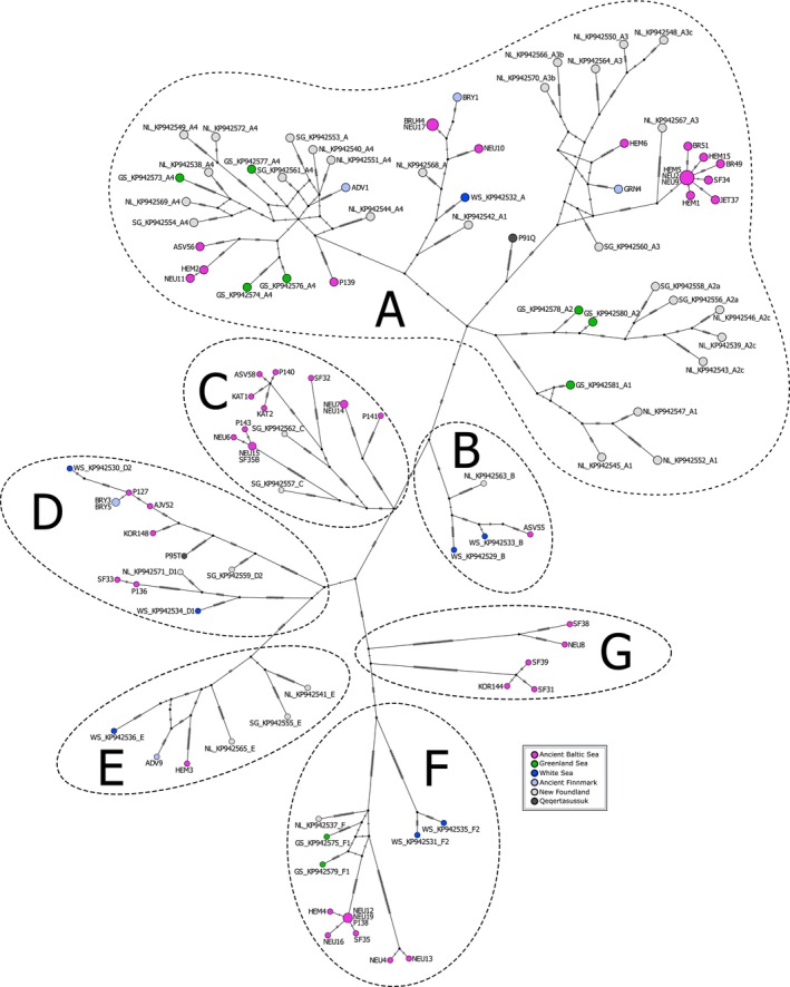 FIGURE 3