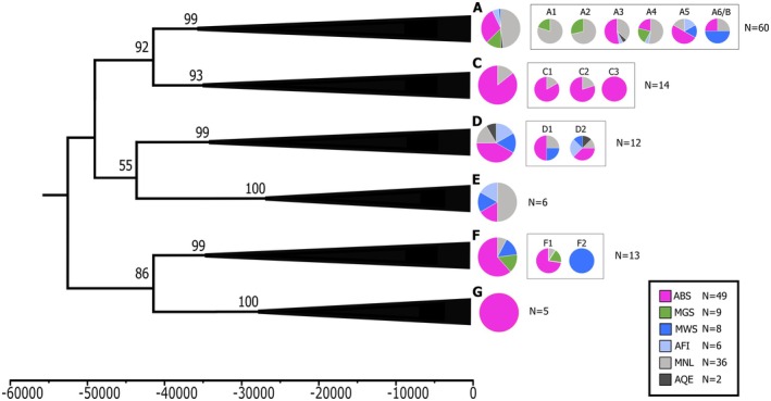 FIGURE 2