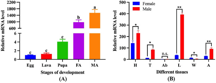 FIGURE 3