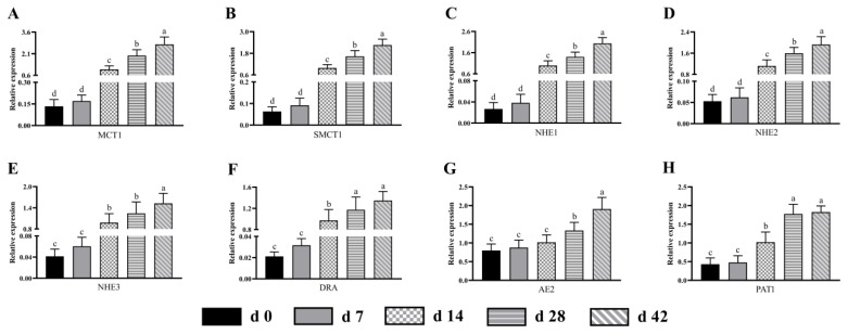 Figure 5