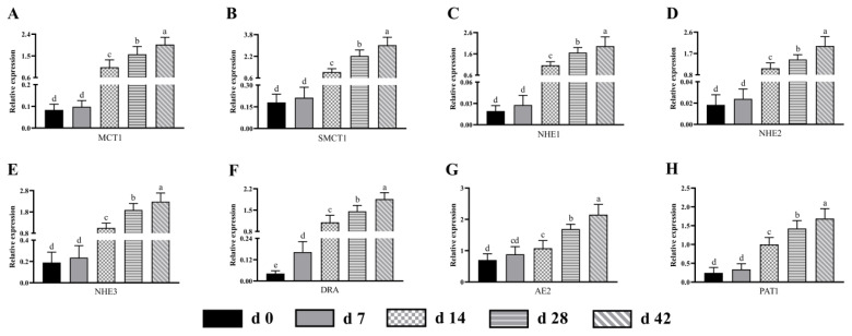 Figure 6