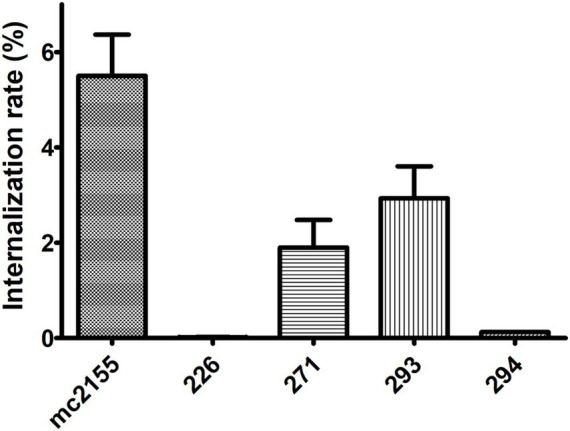 Figure 6