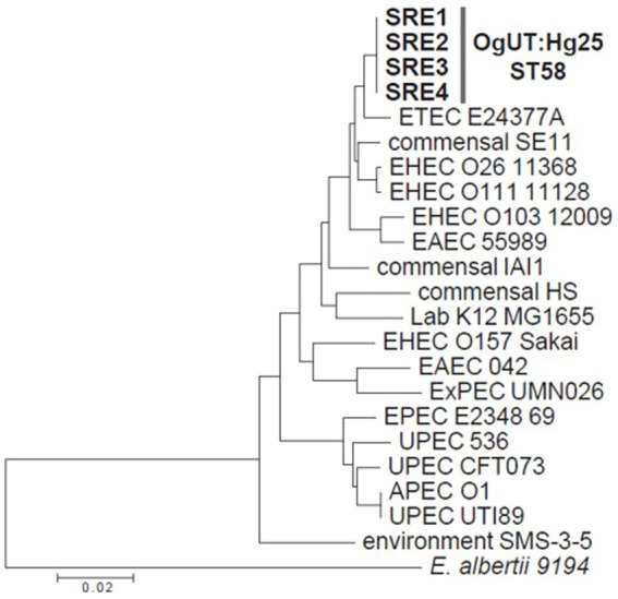 Figure 4