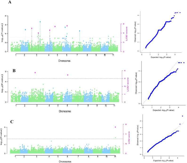 Figure 11