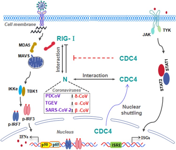 Figure 15