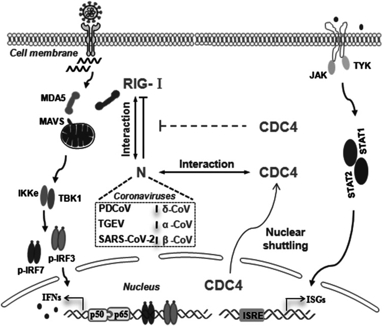 Figure 16