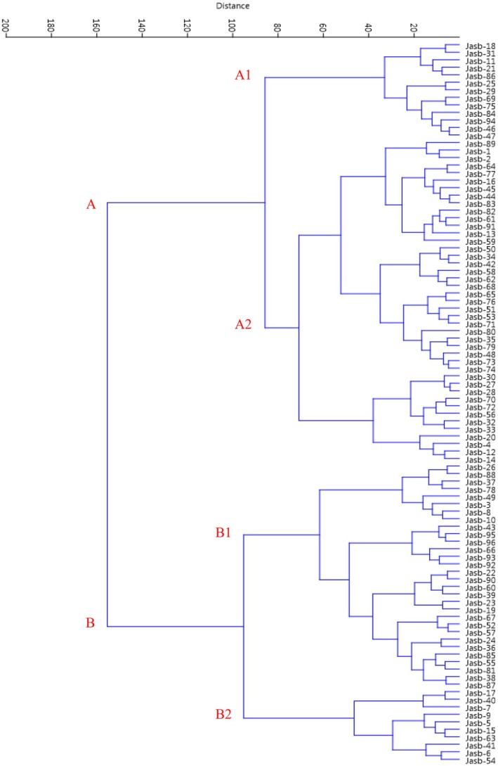 FIGURE 4