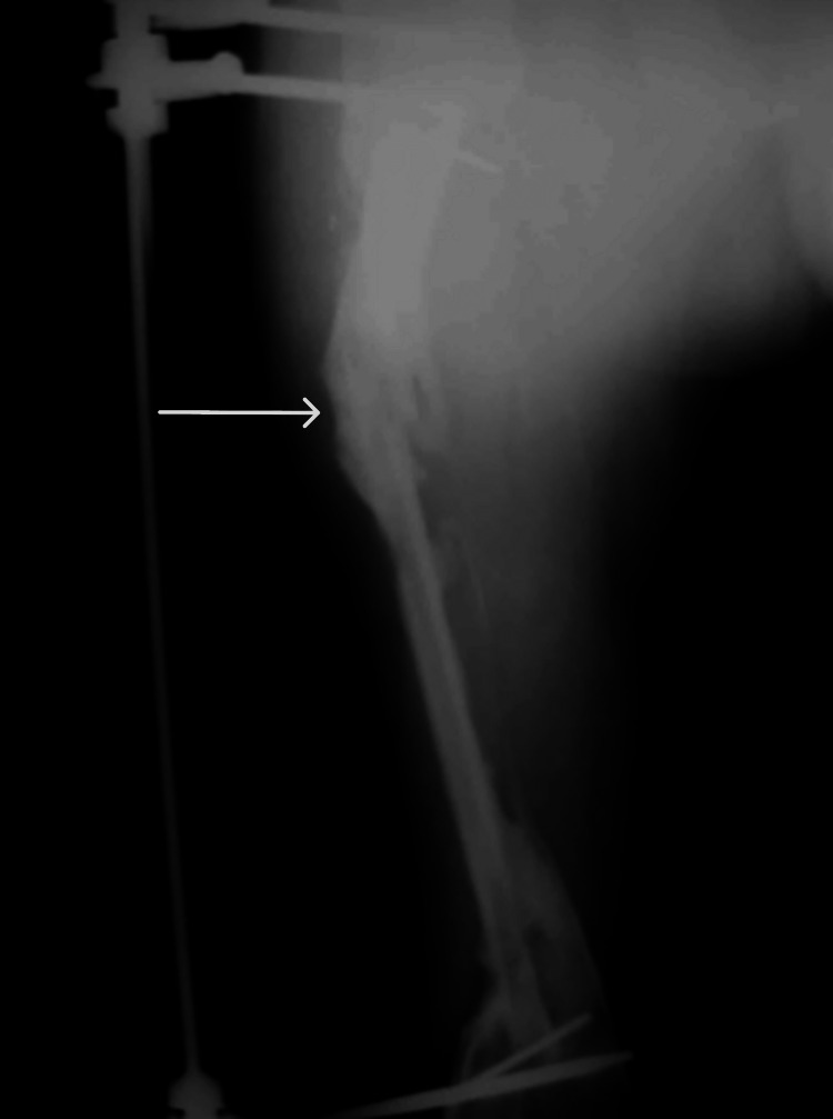 Figure 8
