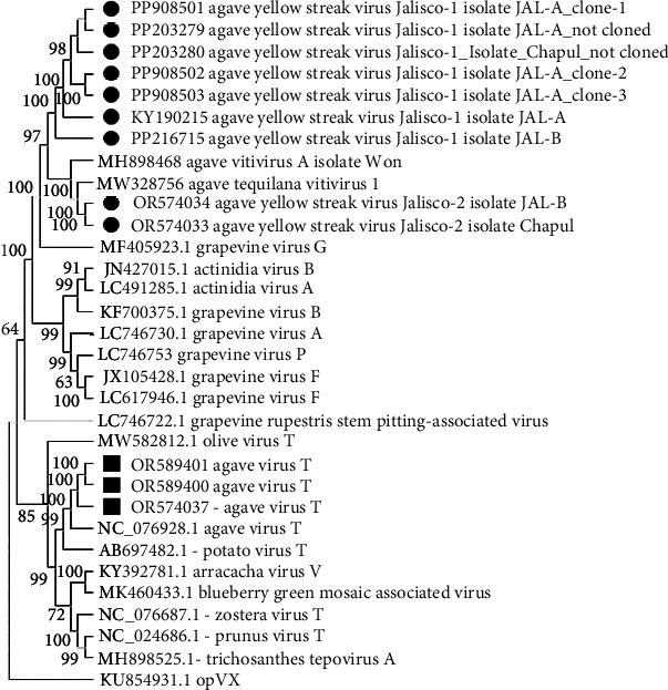 Figure 5