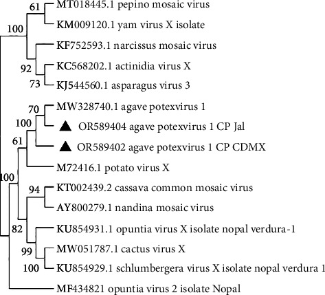 Figure 6