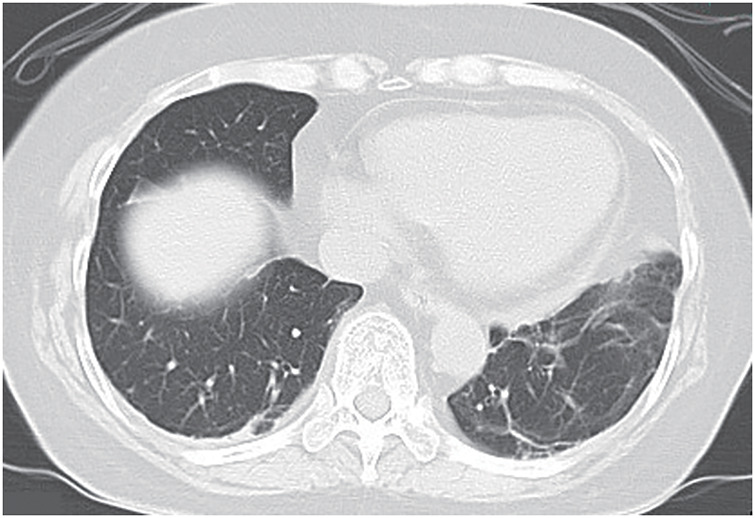 Fig. 5