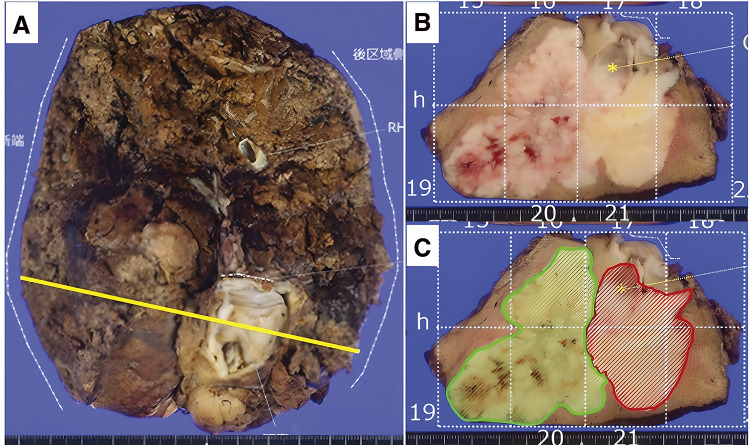 Fig. 5