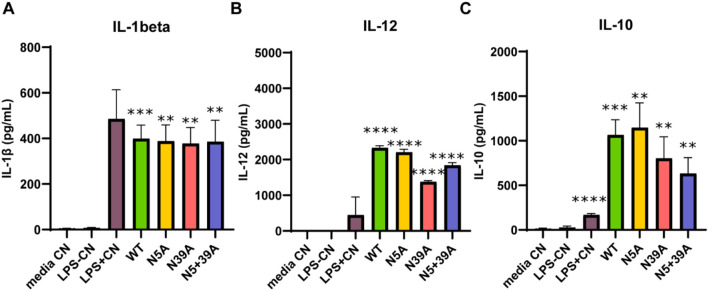 FIGURE 3