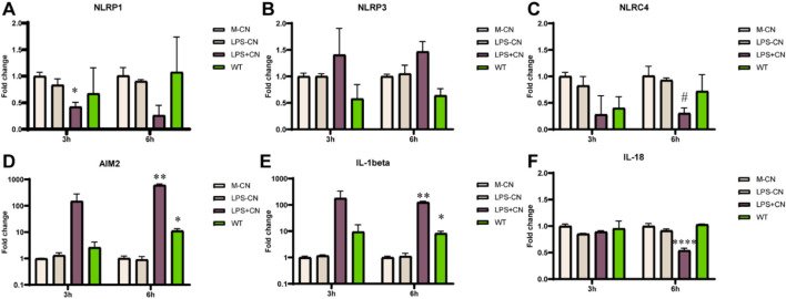 FIGURE 4