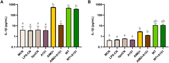 FIGURE 6