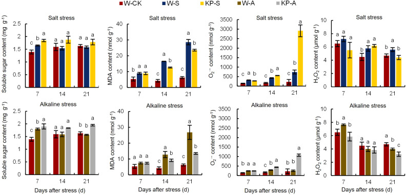 Figure 4