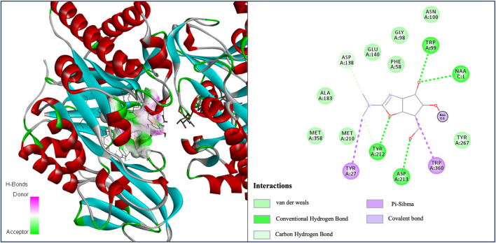 FIGURE 4