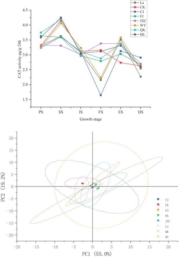 Figure 5
