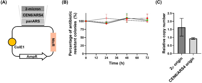 FIGURE 2