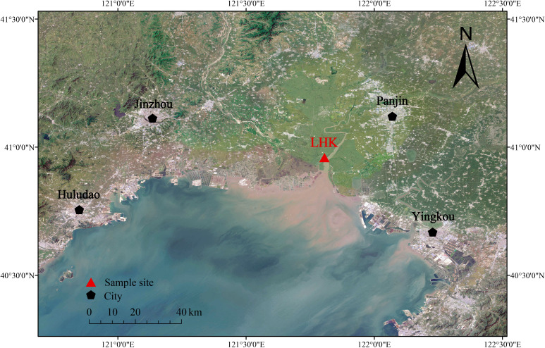 Figure 1