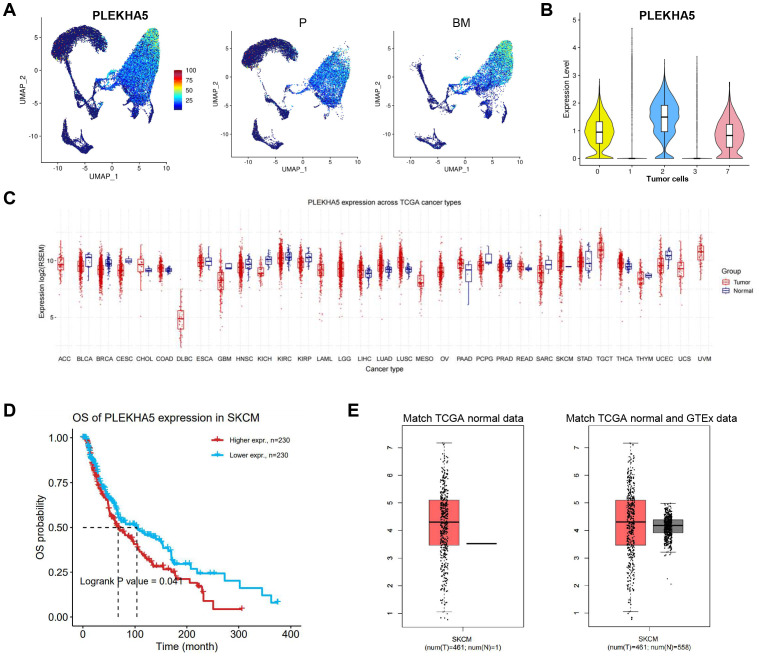 Figure 2