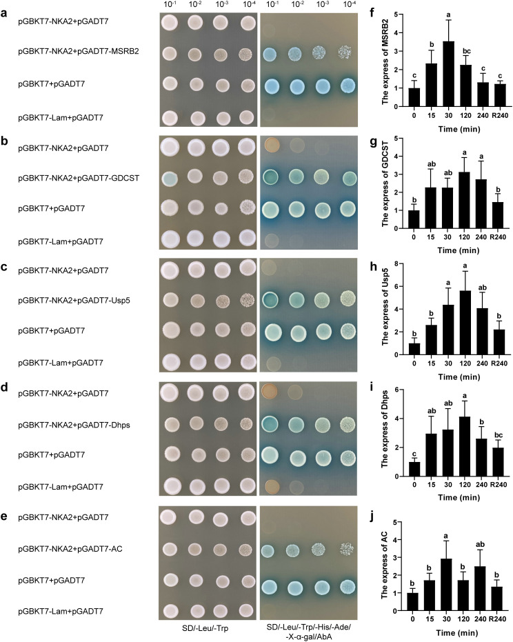 Figure 2
