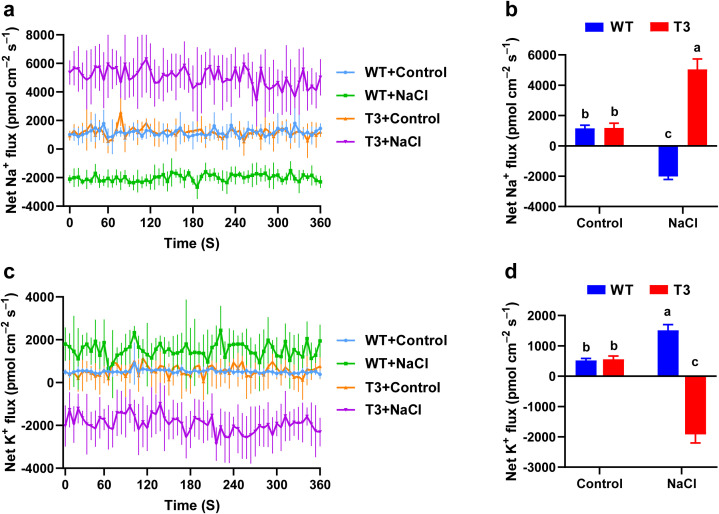 Figure 4