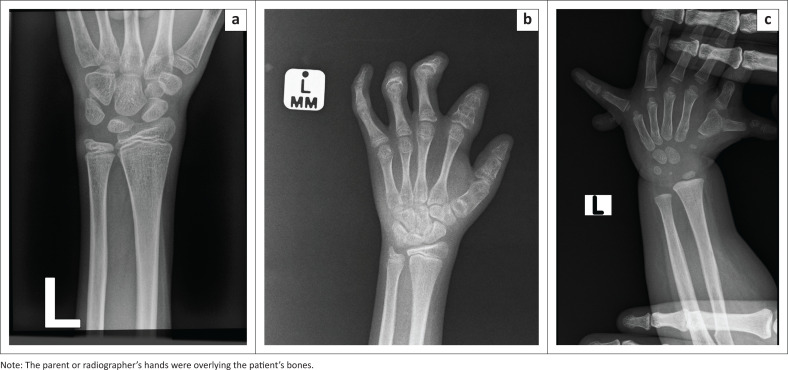 FIGURE 2